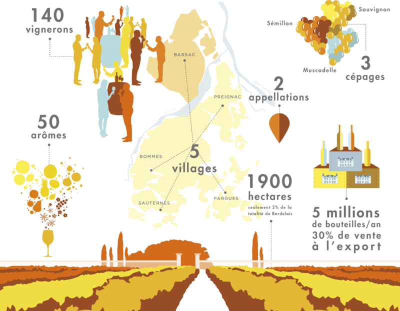 THE HISTORY Sauternes Barsac